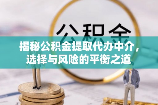 龙沙揭秘公积金提取代办中介，选择与风险的平衡之道