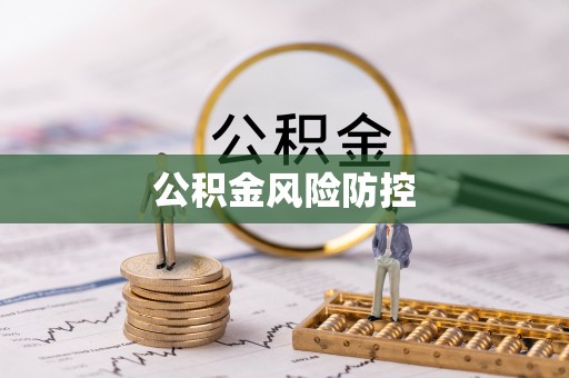 龙沙公积金风险防控