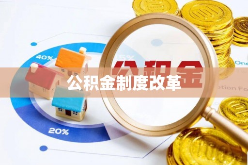 龙沙公积金制度改革