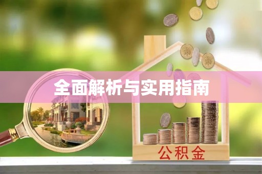 龙沙全面解析与实用指南