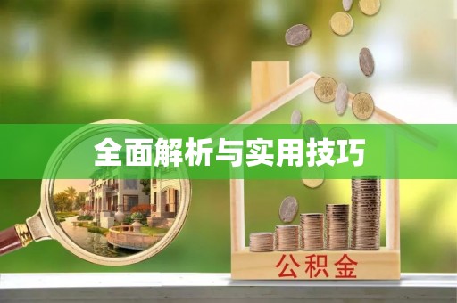 龙沙全面解析与实用技巧