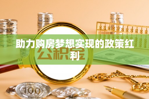龙沙助力购房梦想实现的政策红利