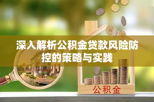 龙沙深入解析公积金贷款风险防控的策略与实践