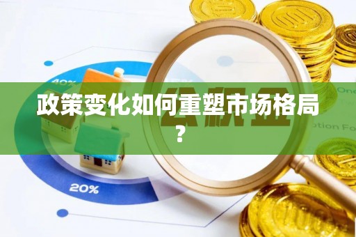 龙沙政策变化如何重塑市场格局？