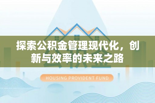 龙沙探索公积金管理现代化，创新与效率的未来之路
