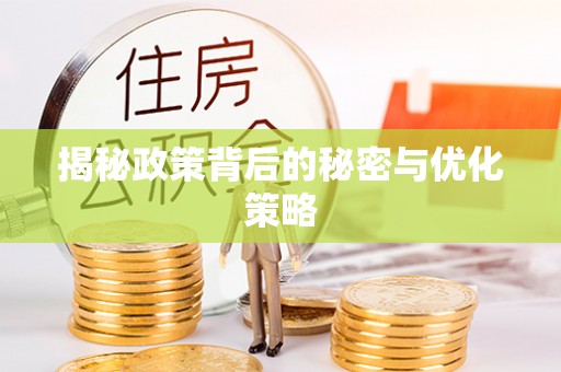 龙沙揭秘政策背后的秘密与优化策略