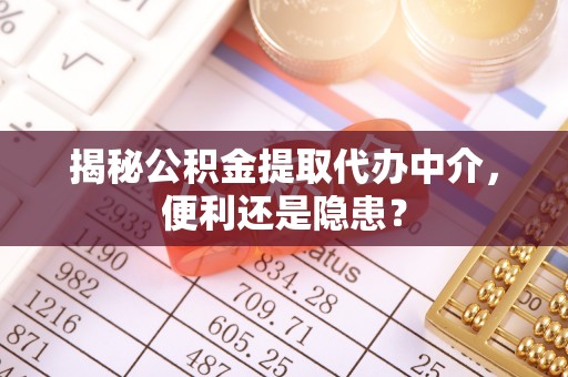 龙沙揭秘公积金提取代办中介，便利还是隐患？