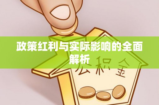 龙沙政策红利与实际影响的全面解析