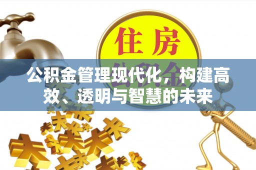 龙沙公积金管理现代化，构建高效、透明与智慧的未来