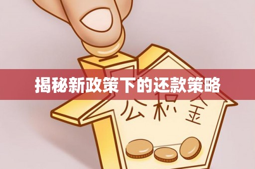 龙沙揭秘新政策下的还款策略