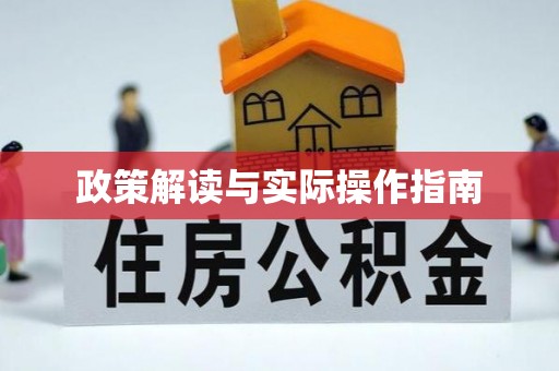 龙沙政策解读与实际操作指南