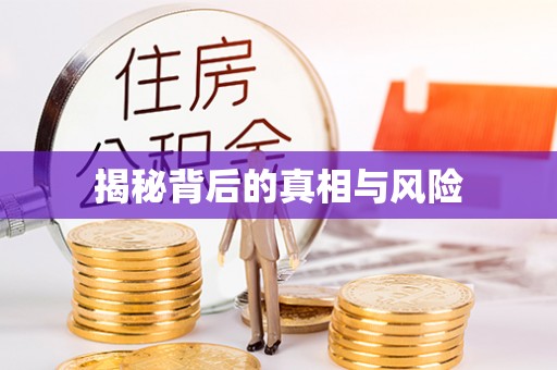龙沙揭秘背后的真相与风险