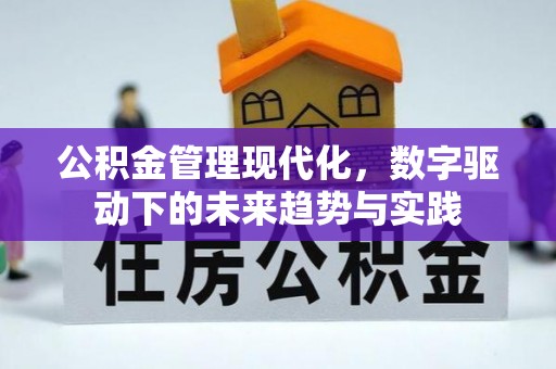 龙沙公积金管理现代化，数字驱动下的未来趋势与实践