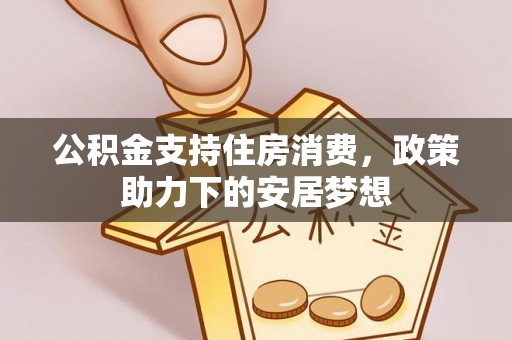 龙沙公积金支持住房消费，政策助力下的安居梦想