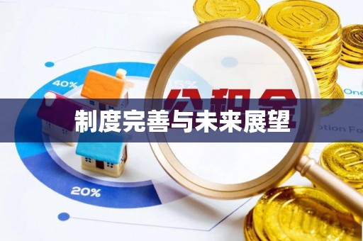 龙沙制度完善与未来展望