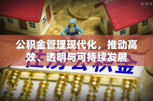 龙沙公积金管理现代化，推动高效、透明与可持续发展