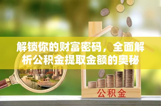 龙沙解锁你的财富密码，全面解析公积金提取金额的奥秘