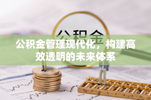 龙沙公积金管理现代化，构建高效透明的未来体系