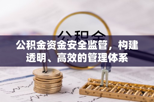 龙沙公积金资金安全监管，构建透明、高效的管理体系