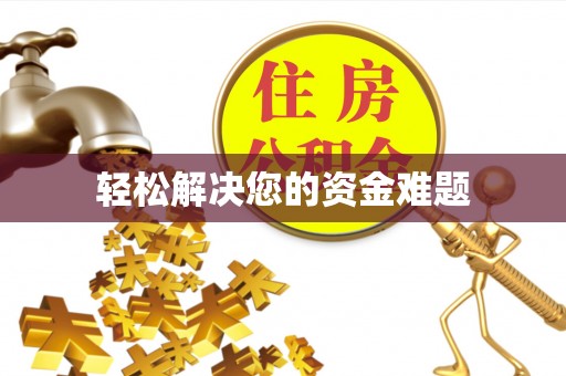 龙沙轻松解决您的资金难题