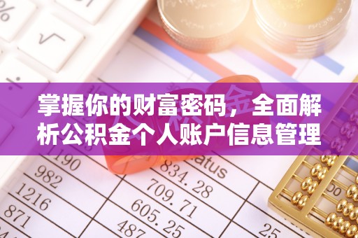 龙沙掌握你的财富密码，全面解析公积金个人账户信息管理与优化
