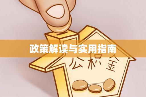 龙沙政策解读与实用指南