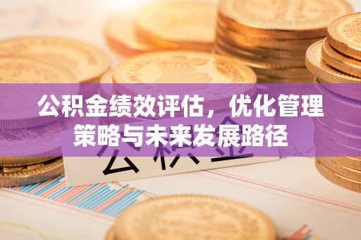 龙沙公积金绩效评估，优化管理策略与未来发展路径