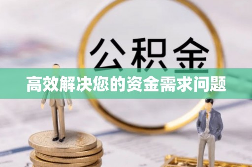 龙沙高效解决您的资金需求问题