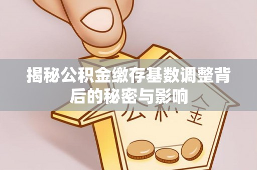 龙沙揭秘公积金缴存基数调整背后的秘密与影响