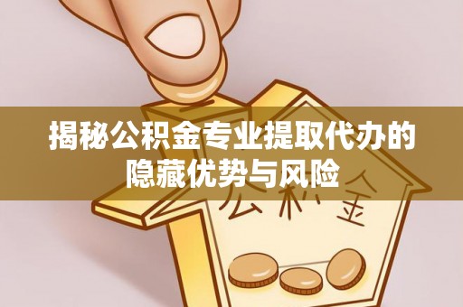 龙沙揭秘公积金专业提取代办的隐藏优势与风险