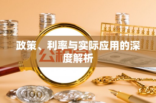 龙沙政策、利率与实际应用的深度解析