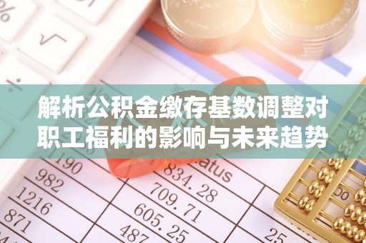 龙沙解析公积金缴存基数调整对职工福利的影响与未来趋势