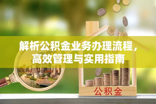 龙沙解析公积金业务办理流程，高效管理与实用指南