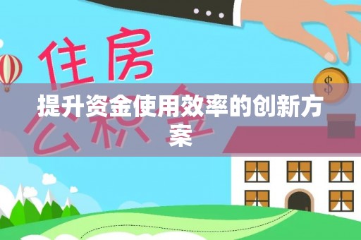 龙沙提升资金使用效率的创新方案