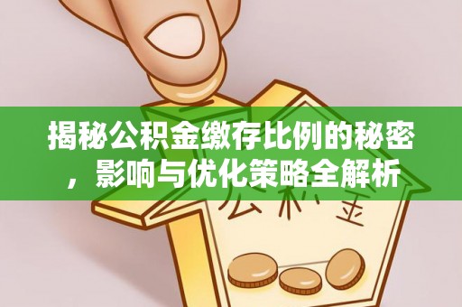 龙沙揭秘公积金缴存比例的秘密，影响与优化策略全解析