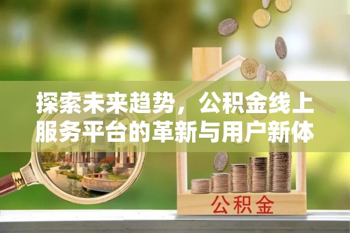 龙沙探索未来趋势，公积金线上服务平台的革新与用户新体验