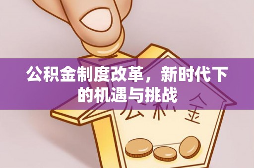 龙沙公积金制度改革，新时代下的机遇与挑战