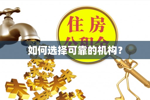 龙沙如何选择可靠的机构？