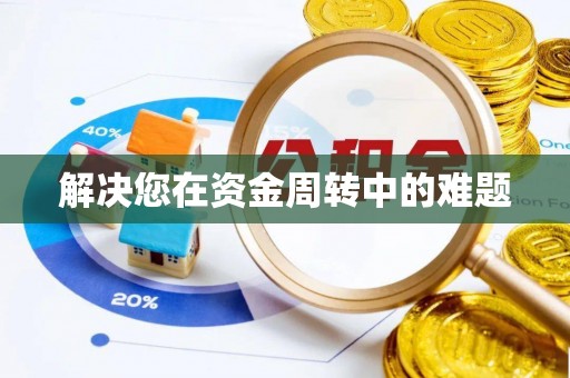 龙沙解决您在资金周转中的难题