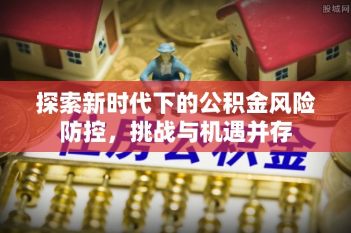 龙沙探索新时代下的公积金风险防控，挑战与机遇并存
