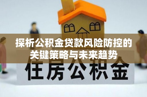 龙沙探析公积金贷款风险防控的关键策略与未来趋势