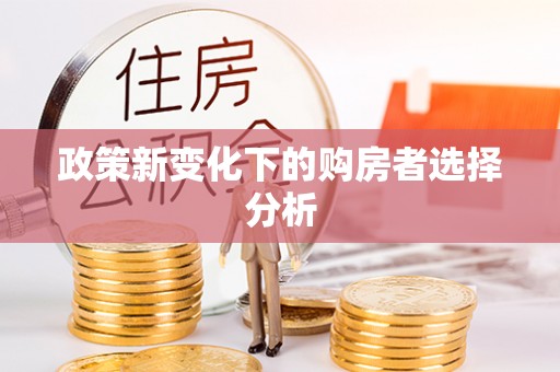 龙沙政策新变化下的购房者选择分析