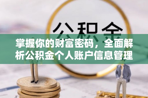 龙沙掌握你的财富密码，全面解析公积金个人账户信息管理