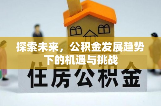 龙沙探索未来，公积金发展趋势下的机遇与挑战