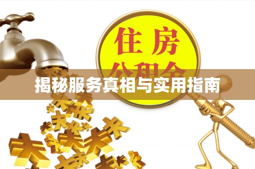 龙沙揭秘服务真相与实用指南