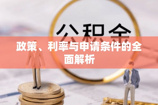 龙沙政策、利率与申请条件的全面解析