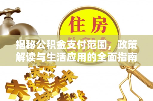 龙沙揭秘公积金支付范围，政策解读与生活应用的全面指南
