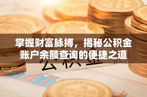 龙沙掌握财富脉搏，揭秘公积金账户余额查询的便捷之道
