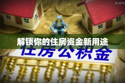 龙沙解锁你的住房资金新用途