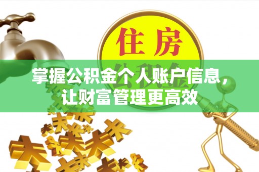 龙沙掌握公积金个人账户信息，让财富管理更高效